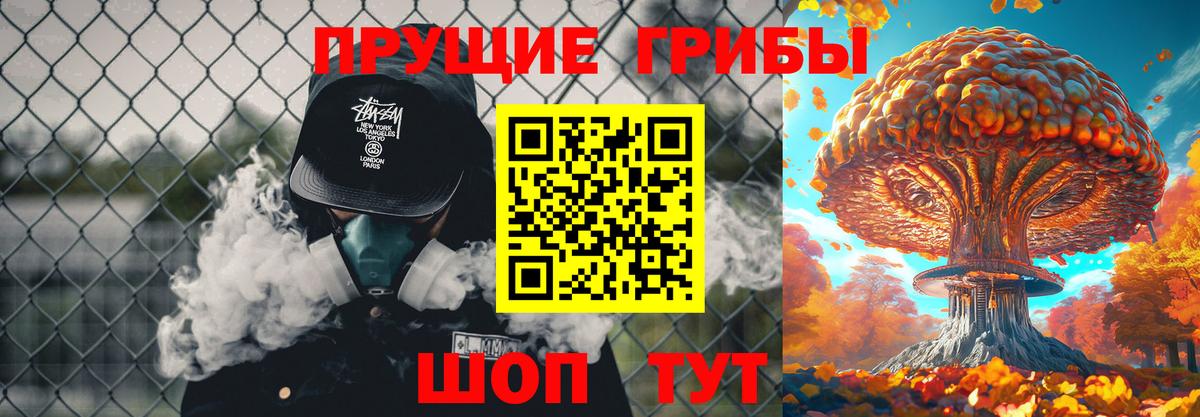 Галлюциногенные грибы Psilocybe Тулун